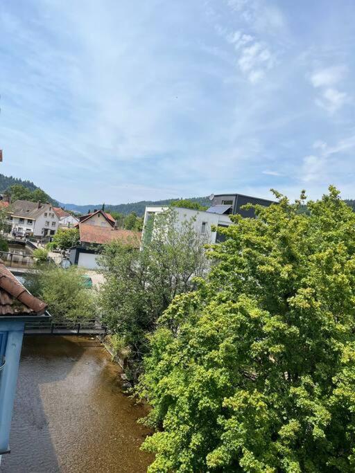 Loewen Appartement Hausach Dış mekan fotoğraf
