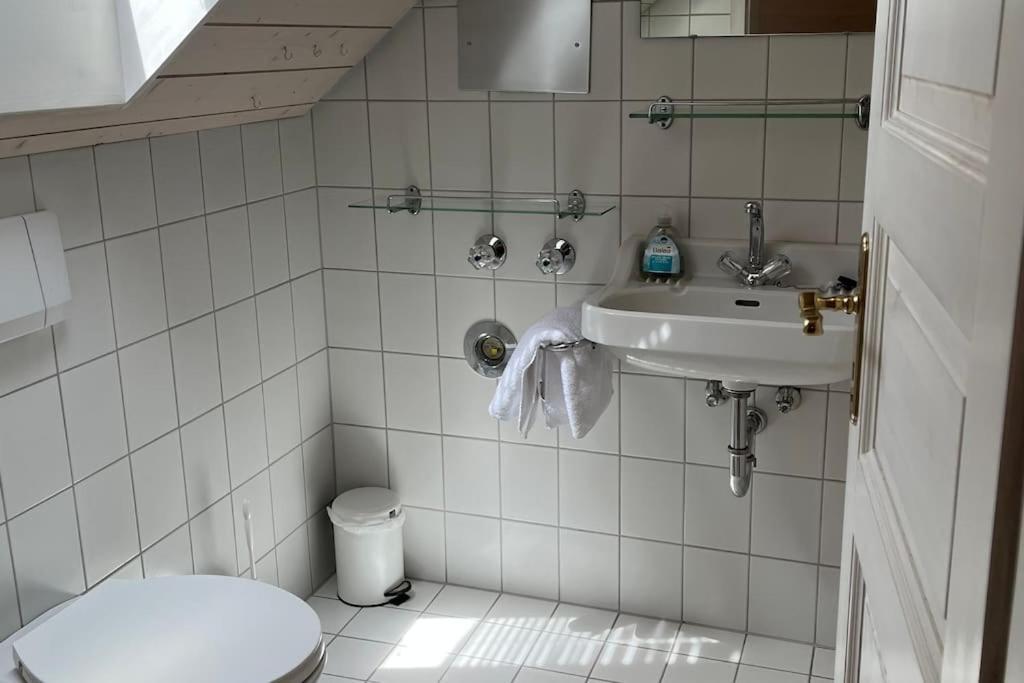Loewen Appartement Hausach Dış mekan fotoğraf