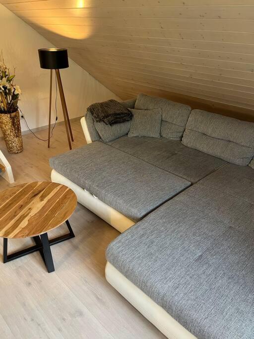 Loewen Appartement Hausach Dış mekan fotoğraf